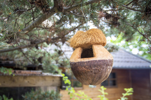 Coco Birdhouse - SIMPLY GREEN
